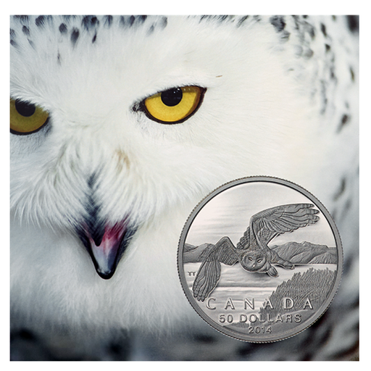2014 $50 For $50 CANADA SNOWY OWL Pure Silver Coin w/COA Card