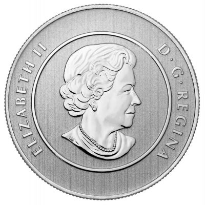 2013 $20 for $20 Pure Silver Coin: CANADA HOCKEY PLAYER