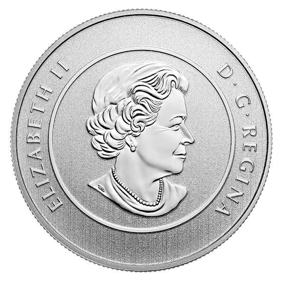 2016 $25 for $25 Pure Silver Coin: TRUE NORTH