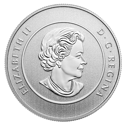 2016 $25 for $25 Pure Silver Coin: TRUE NORTH